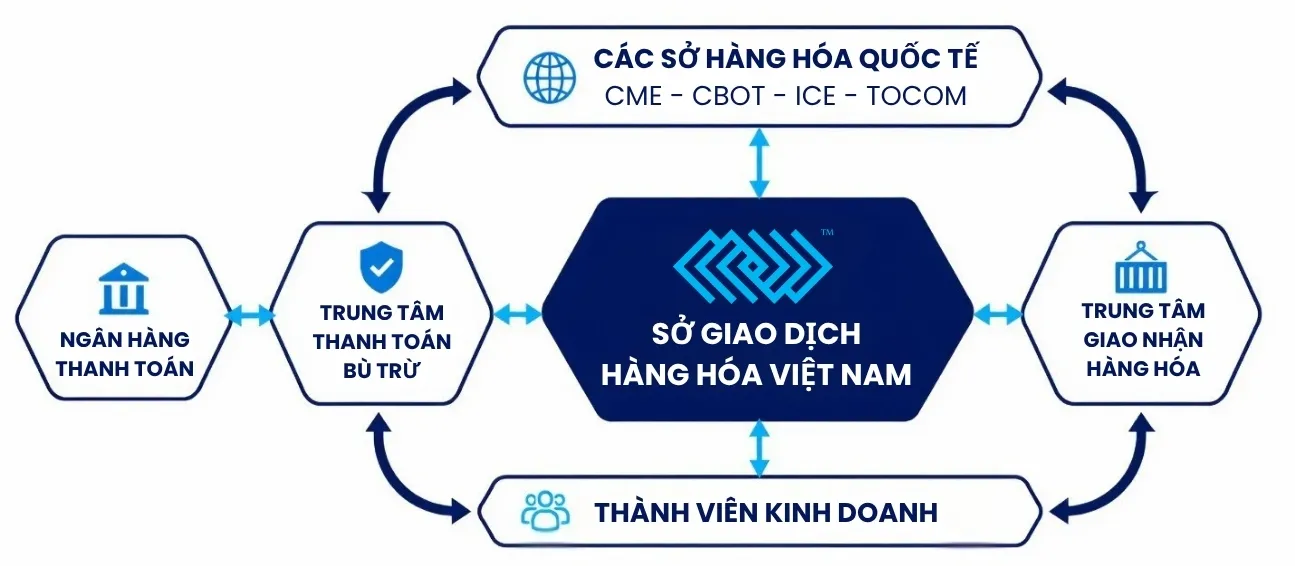 m&ocirc; h&igrave;nh vận h&agrave;nh của thị trường h&agrave;ng h&oacute;a ph&aacute;i sinh